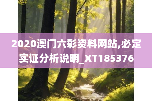 2020澳门六彩资料网站,必定实证分析说明_XT185376