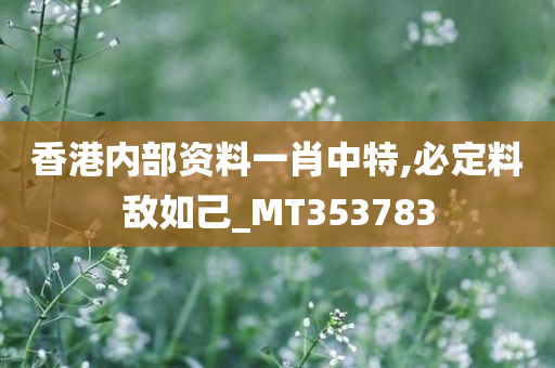 香港内部资料一肖中特,必定料敌如己_MT353783