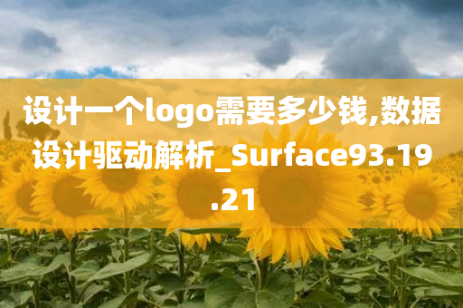 设计一个logo需要多少钱,数据设计驱动解析_Surface93.19.21