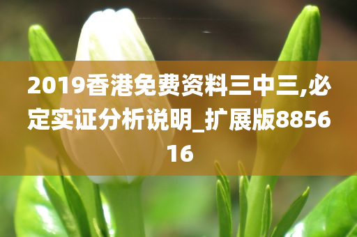 2019香港免费资料三中三,必定实证分析说明_扩展版885616