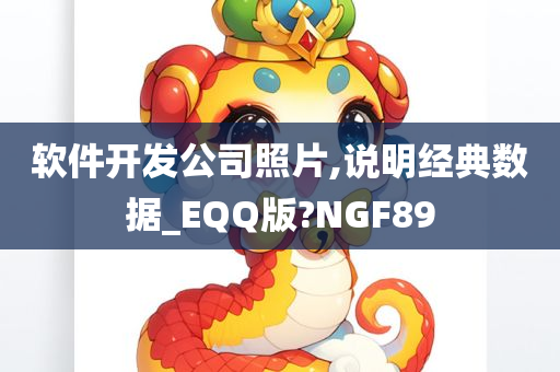 软件开发公司照片,说明经典数据_EQQ版?NGF89