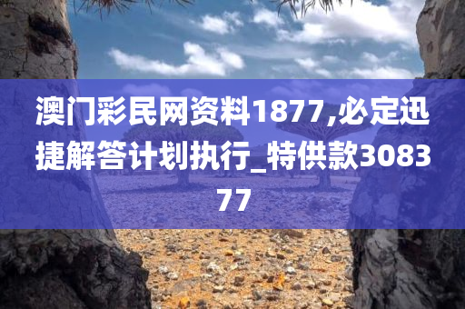 澳门彩民网资料1877,必定迅捷解答计划执行_特供款308377