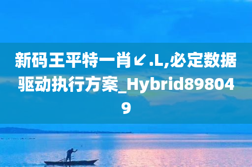 新码王平特一肖↙.L,必定数据驱动执行方案_Hybrid898049