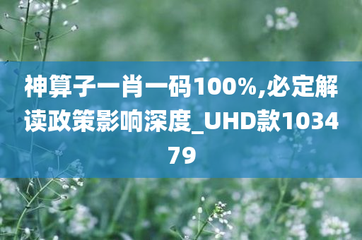 神算子一肖一码100%,必定解读政策影响深度_UHD款103479