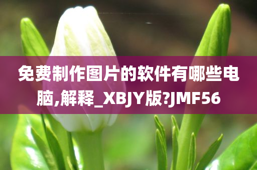 免费制作图片的软件有哪些电脑,解释_XBJY版?JMF56