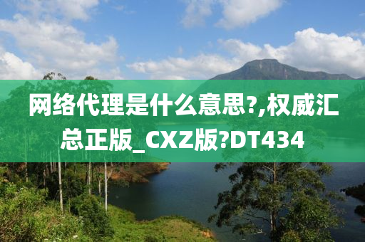 网络代理是什么意思?,权威汇总正版_CXZ版?DT434