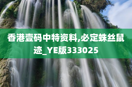 香港壹码中特资料,必定蛛丝鼠迹_YE版333025