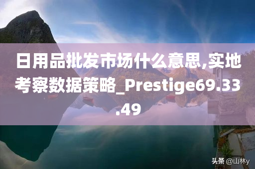 日用品批发市场什么意思,实地考察数据策略_Prestige69.33.49