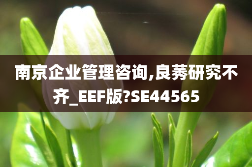 南京企业管理咨询,良莠研究不齐_EEF版?SE44565