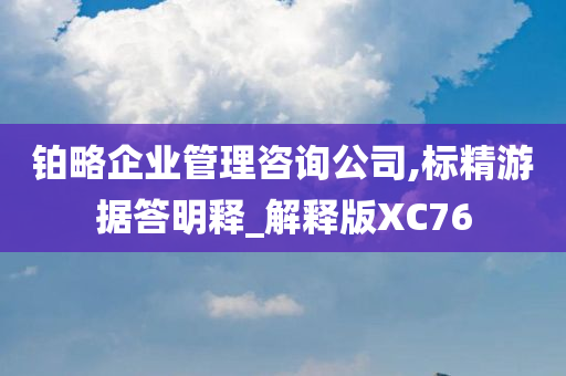 铂略企业管理咨询公司,标精游据答明释_解释版XC76