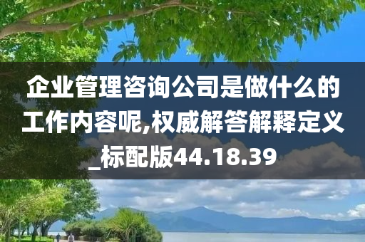 企业管理咨询公司是做什么的工作内容呢,权威解答解释定义_标配版44.18.39