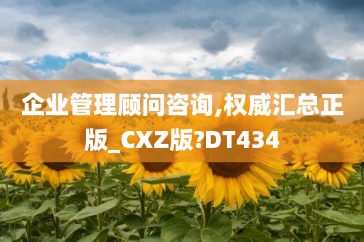 企业管理顾问咨询,权威汇总正版_CXZ版?DT434