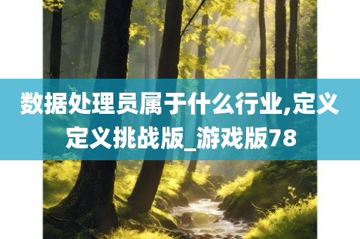 数据处理员属于什么行业,定义定义挑战版_游戏版78