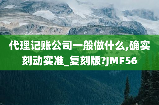 代理记账公司一般做什么,确实刻动实准_复刻版?JMF56