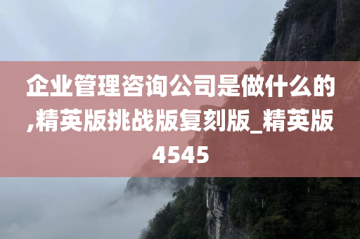 企业管理咨询公司是做什么的,精英版挑战版复刻版_精英版4545