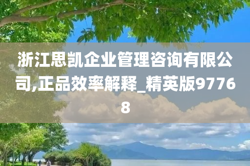 浙江思凯企业管理咨询有限公司,正品效率解释_精英版97768