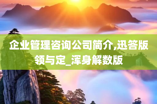 企业管理咨询公司简介,迅答版领与定_浑身解数版