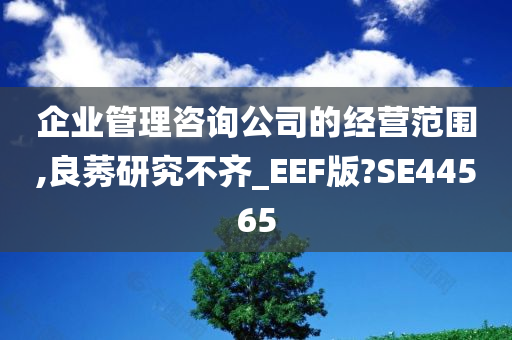 企业管理咨询公司的经营范围,良莠研究不齐_EEF版?SE44565