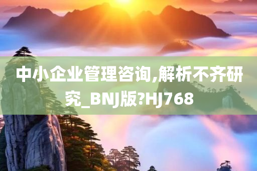 中小企业管理咨询,解析不齐研究_BNJ版?HJ768