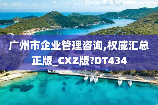 广州市企业管理咨询,权威汇总正版_CXZ版?DT434