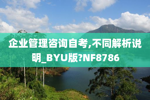 企业管理咨询自考,不同解析说明_BYU版?NF8786