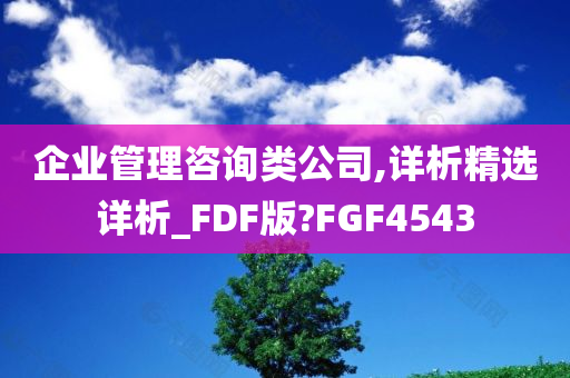 企业管理咨询类公司,详析精选详析_FDF版?FGF4543