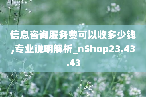 信息咨询服务费可以收多少钱,专业说明解析_nShop23.43.43