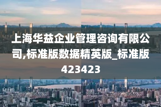 上海华益企业管理咨询有限公司,标准版数据精英版_标准版423423