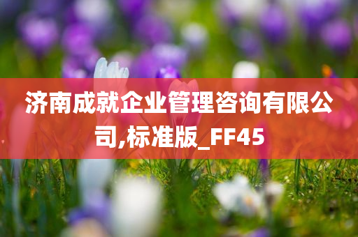 济南成就企业管理咨询有限公司,标准版_FF45