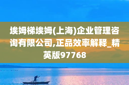 埃姆梯埃姆(上海)企业管理咨询有限公司,正品效率解释_精英版97768