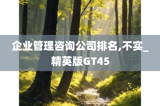 企业管理咨询公司排名,不实_精英版GT45