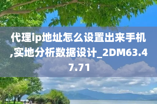 代理ip地址怎么设置出来手机,实地分析数据设计_2DM63.47.71