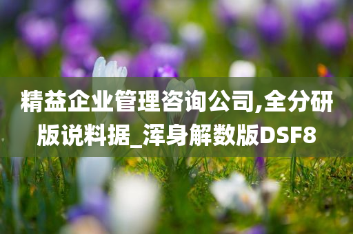 精益企业管理咨询公司,全分研版说料据_浑身解数版DSF8