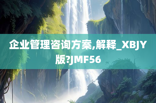 企业管理咨询方案,解释_XBJY版?JMF56