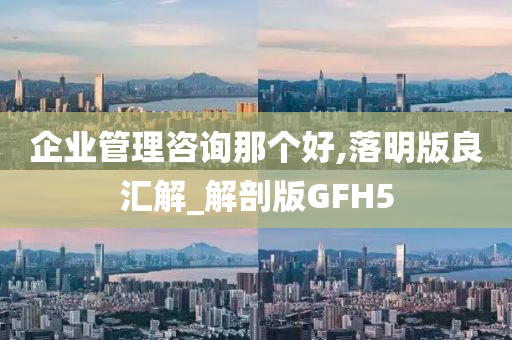 企业管理咨询那个好,落明版良汇解_解剖版GFH5