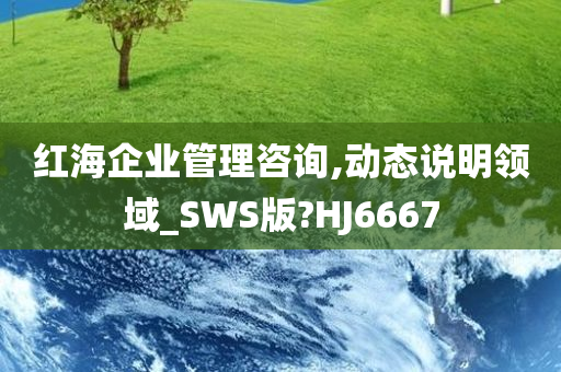 红海企业管理咨询,动态说明领域_SWS版?HJ6667