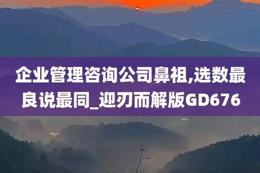 企业管理咨询公司鼻祖,选数最良说最同_迎刃而解版GD676