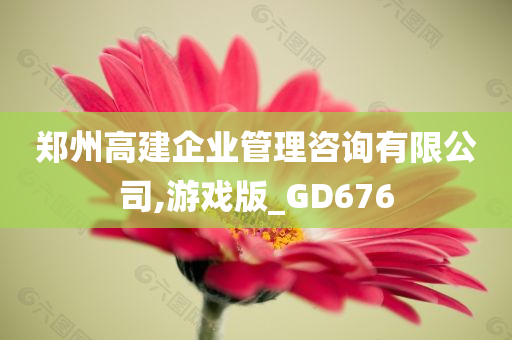 郑州高建企业管理咨询有限公司,游戏版_GD676