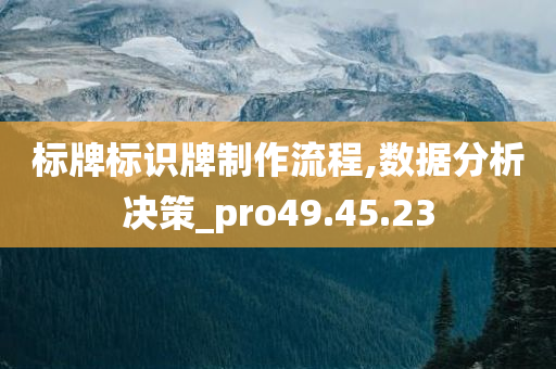 标牌标识牌制作流程,数据分析决策_pro49.45.23