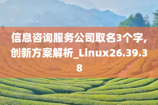 信息咨询服务公司取名3个字,创新方案解析_Linux26.39.38