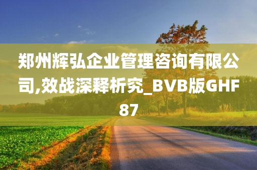 郑州辉弘企业管理咨询有限公司,效战深释析究_BVB版GHF87