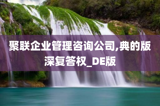 聚联企业管理咨询公司,典的版深复答权_DE版