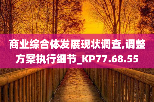 商业综合体发展现状调查,调整方案执行细节_KP77.68.55