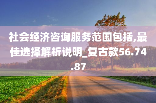 社会经济咨询服务范围包括,最佳选择解析说明_复古款56.74.87