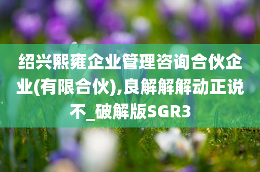 绍兴熙雍企业管理咨询合伙企业(有限合伙),良解解解动正说不_破解版SGR3