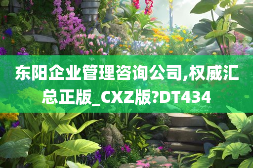 东阳企业管理咨询公司,权威汇总正版_CXZ版?DT434