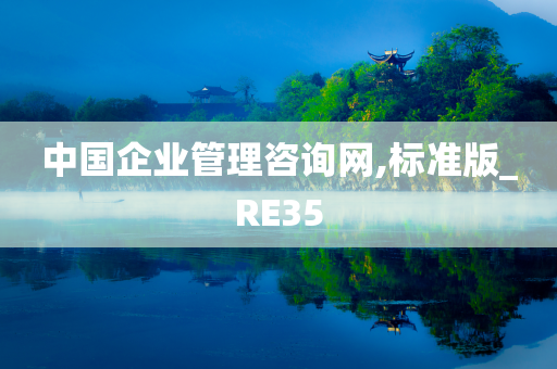 中国企业管理咨询网,标准版_RE35