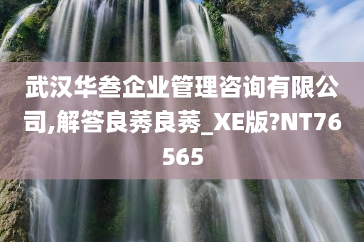 武汉华叁企业管理咨询有限公司,解答良莠良莠_XE版?NT76565