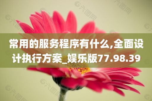 常用的服务程序有什么,全面设计执行方案_娱乐版77.98.39