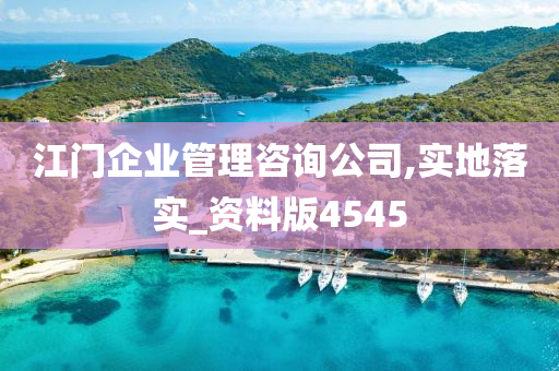 江门企业管理咨询公司,实地落实_资料版4545